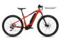 Flyer Uproc2 2.10 630Wh red/silver (2019)