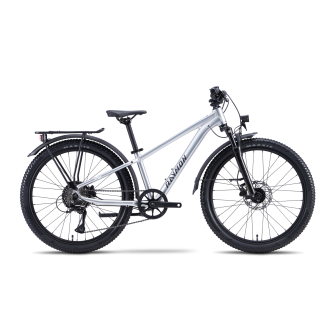 Raymon Nayta 24 Pro Street rawsilver (2027)