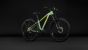 Cube Reaction Hybrid ONE 720 FE cactus´n´black (2027)