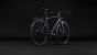 Cube Nulane Deluxe EXC FE  grey´n´chrome (2027)