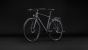 Cube Nulane Deluxe EXC FE  grey´n´chrome (2027)