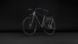 Cube Kathmandu Pro slabgrey´n´chrome (2027)