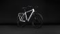 Cube Kathmandu Pro metallicwhite´n´chrome (2027)