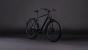 Cube Kathmandu Pro Diamant coal´n´grey (2026)