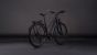 Cube Kathmandu Pro Trapez coal´n´grey (2026)