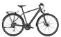 Raleigh RUSHHOUR LTD Herren diamondblack matt (2021)
