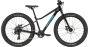 Cannondale Kids Trail Plus 24 Black Pearl