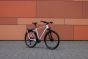 Cube Kathmandu Pro metallicwhite´n´chrome (2027)