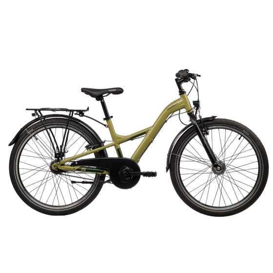 Pegasus Arcona 20" Y-Rahmen 7G Alu ND 20 Zoll
