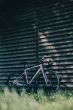 Cube Nuroad EX bubblegum´n´black  (2027)