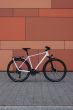 Cube Kathmandu Pro metallicwhite´n´chrome (2027)