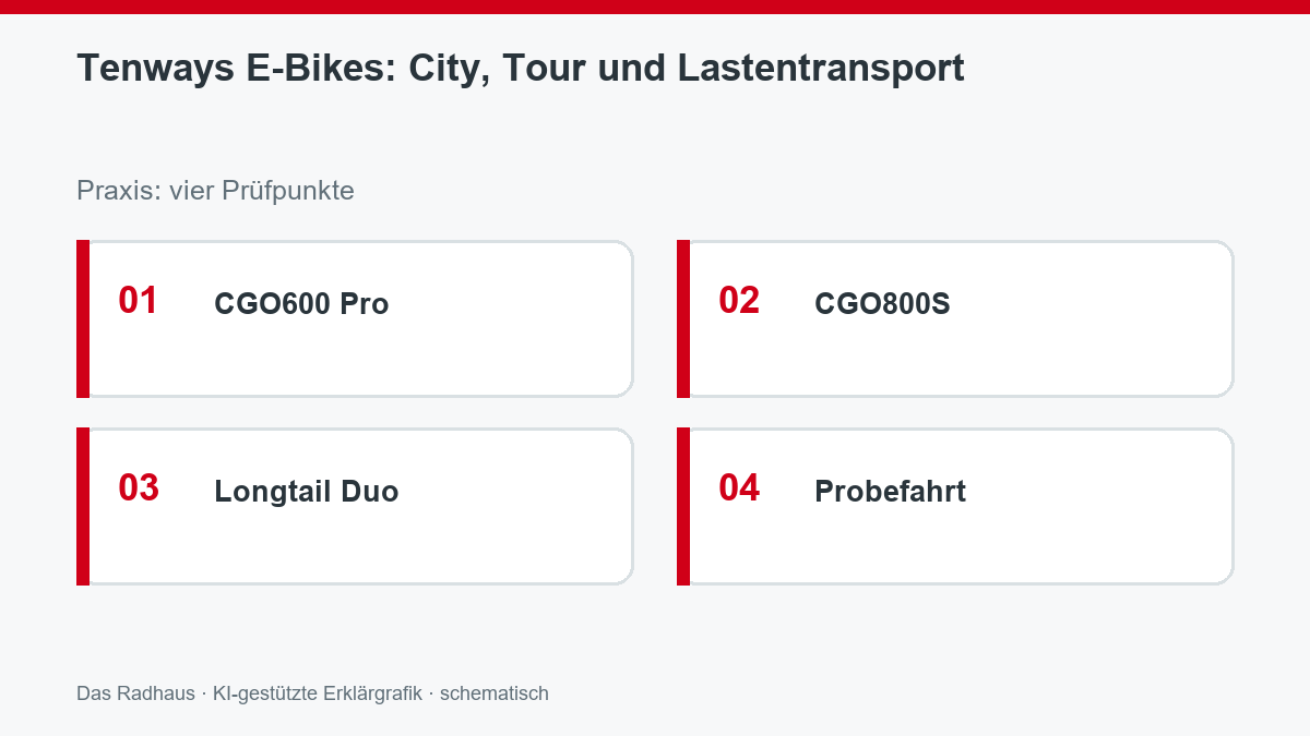 Tenways E-Bikes: City, Tour und Lastentransport: CGO600 Pro, CGO800S, Longtail Duo, Probefahrt
