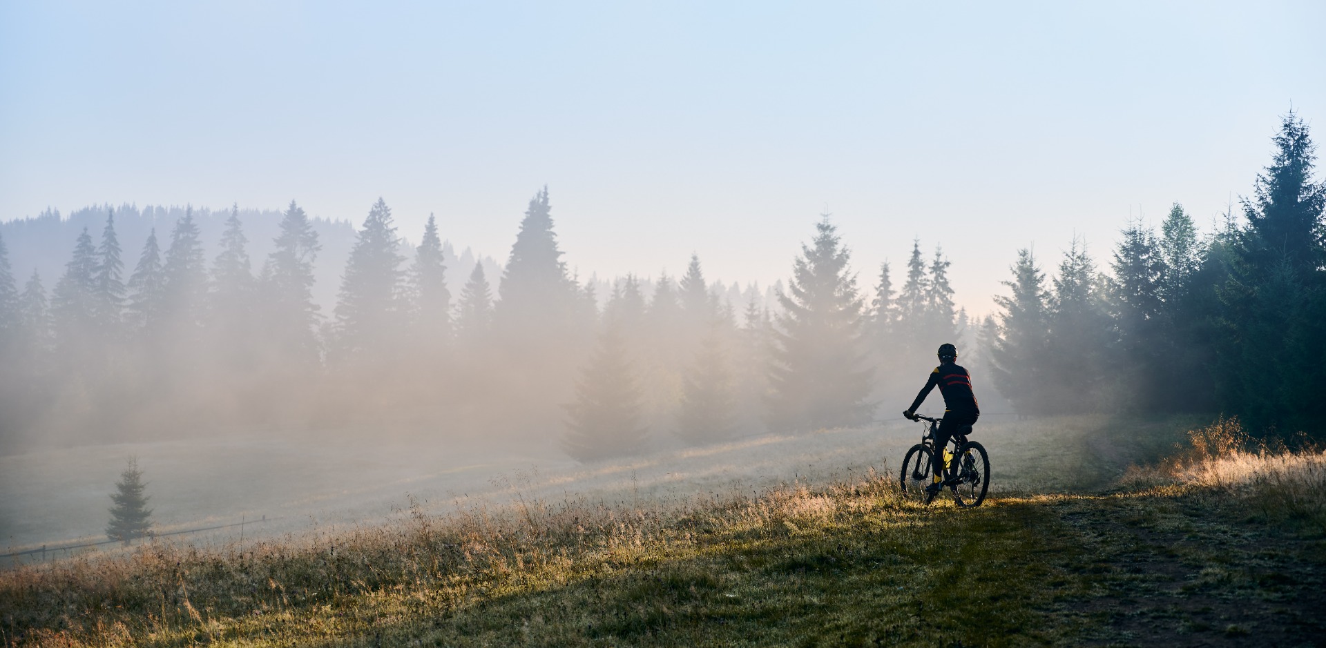 Mann auf einem MTB im Wald